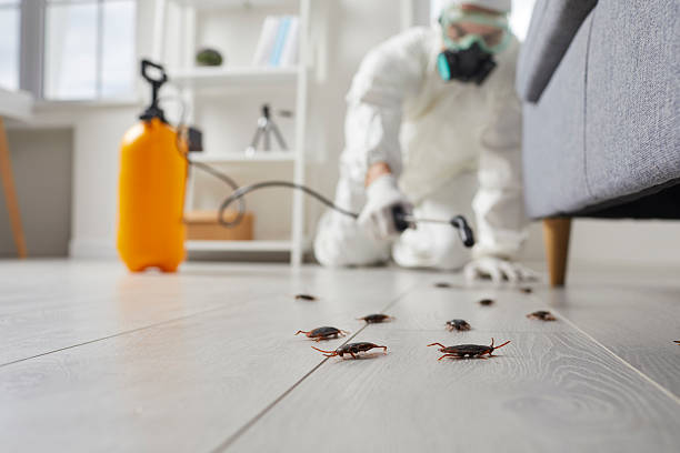 Post-Treatment Bed Bug Interceptor Monitoring in Willow Street
