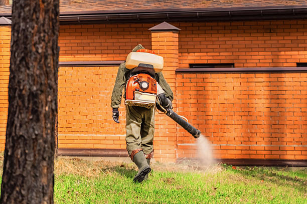 Bed Bug Clearance Verification and Documentation in Willow Street